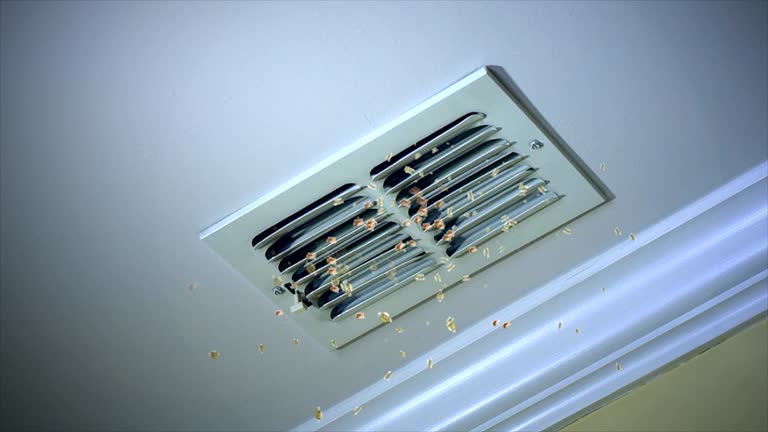 Best HVAC Air Duct Cleaning  in Fairplay, GA