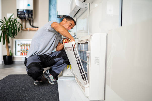 Best Air Duct Sanitizing Services  in Fairplay, GA
